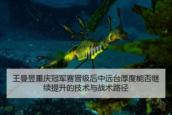 王曼昱重庆冠军赛晋级后中远台厚度能否继续提升的技术与战术路径